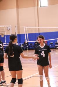 volleyball