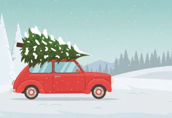 holiday visit challenge
