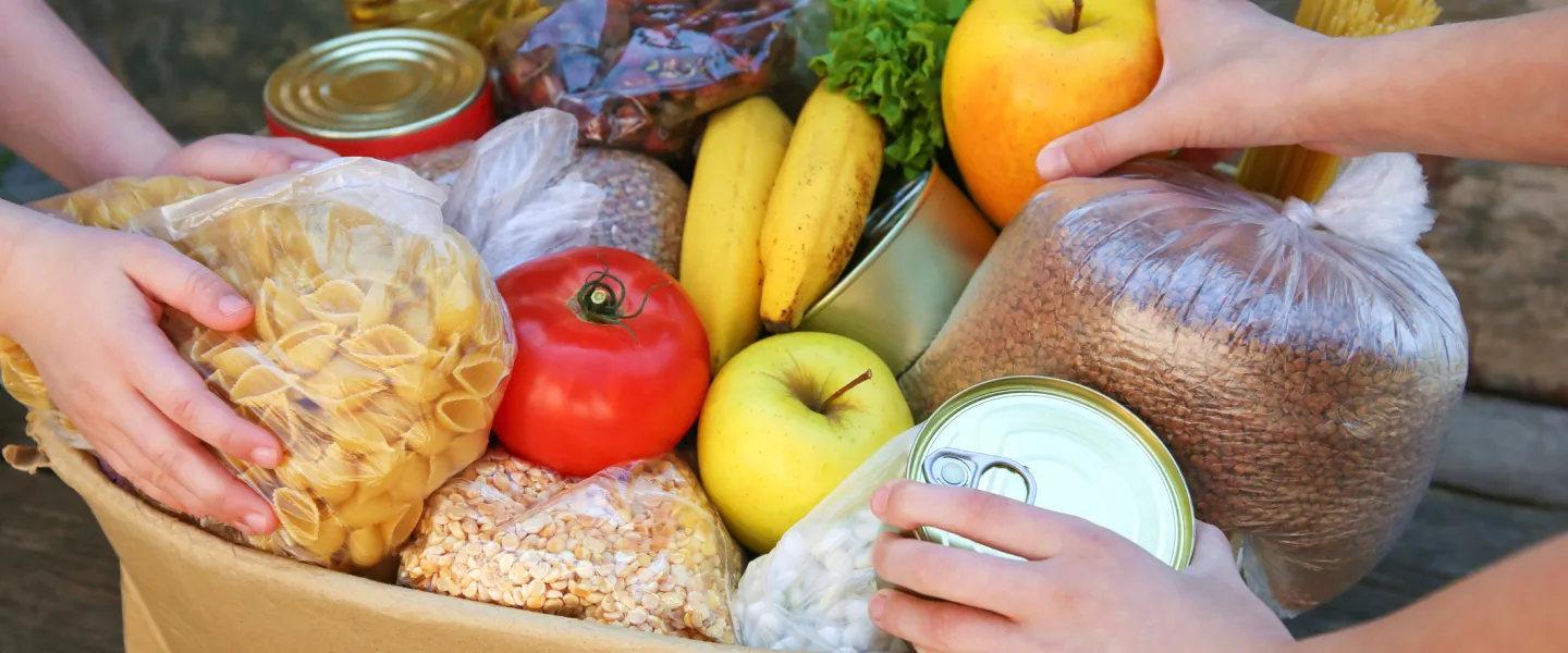 feeding programs