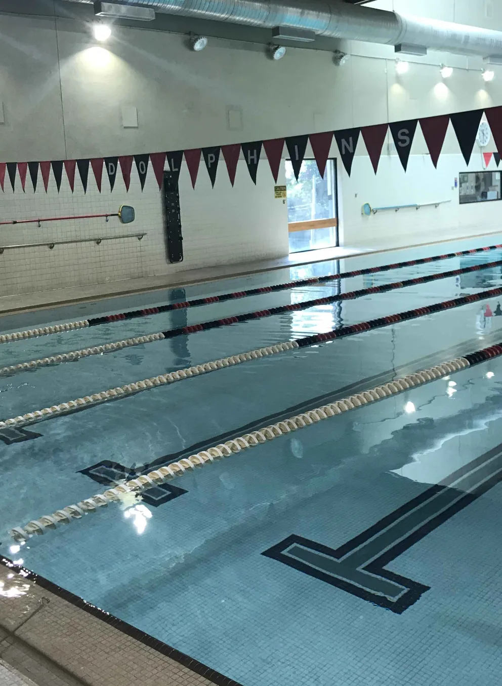 lap pool