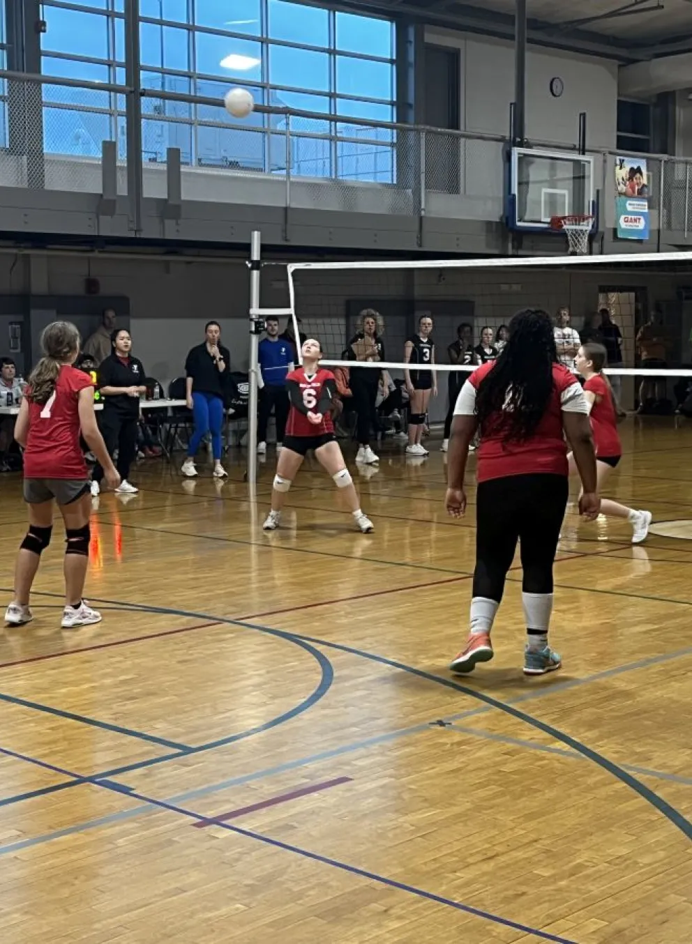 girls volleyball league