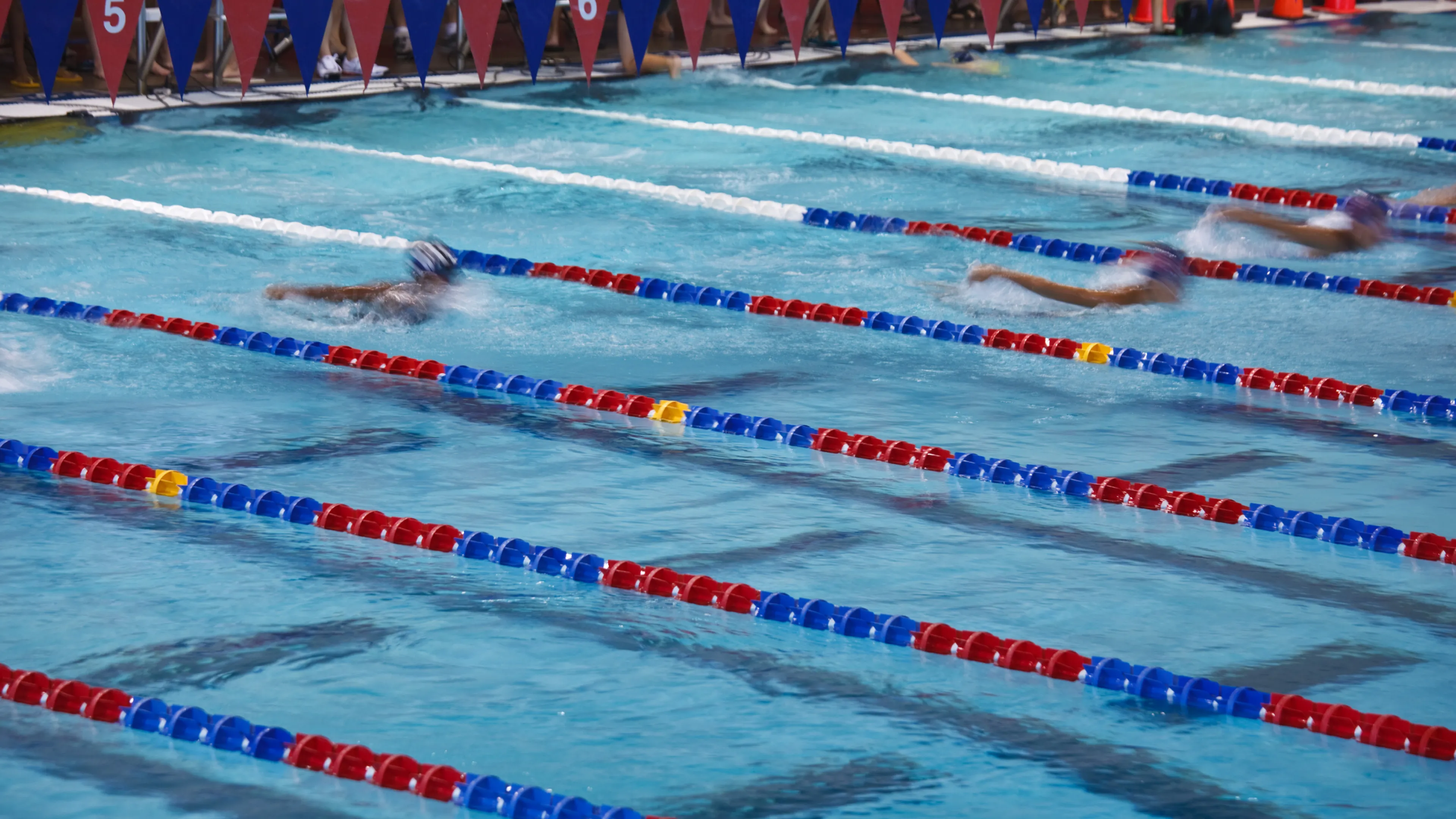 swim team