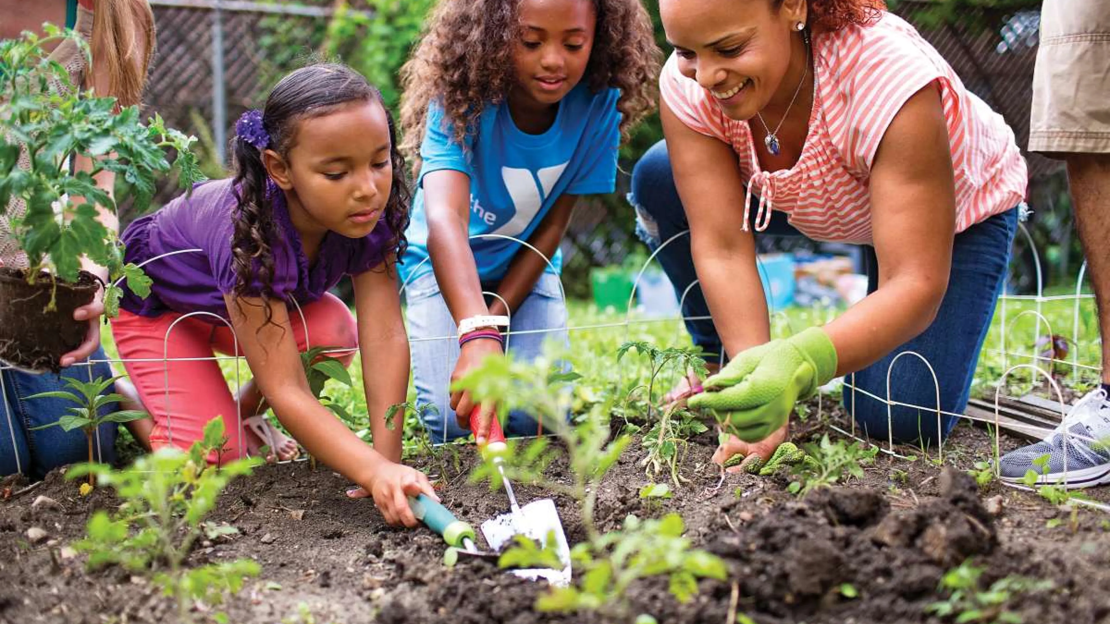 community garden