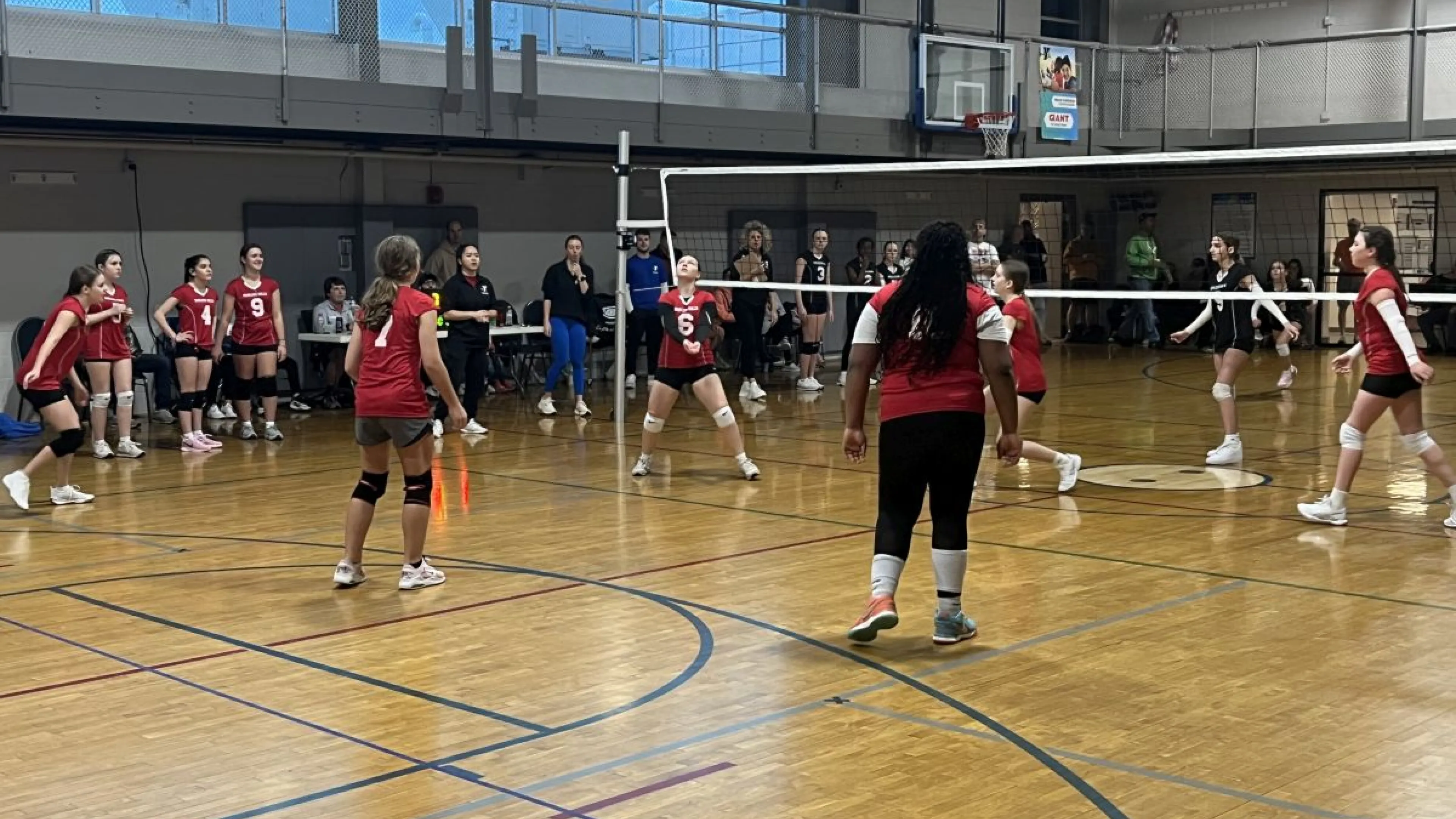 girls volleyball league