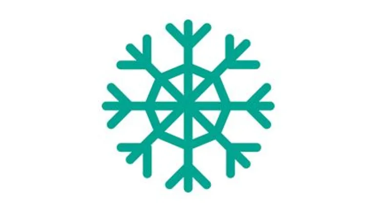 snow icon