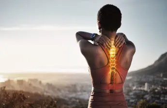 spine workshop