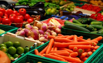 nutrition